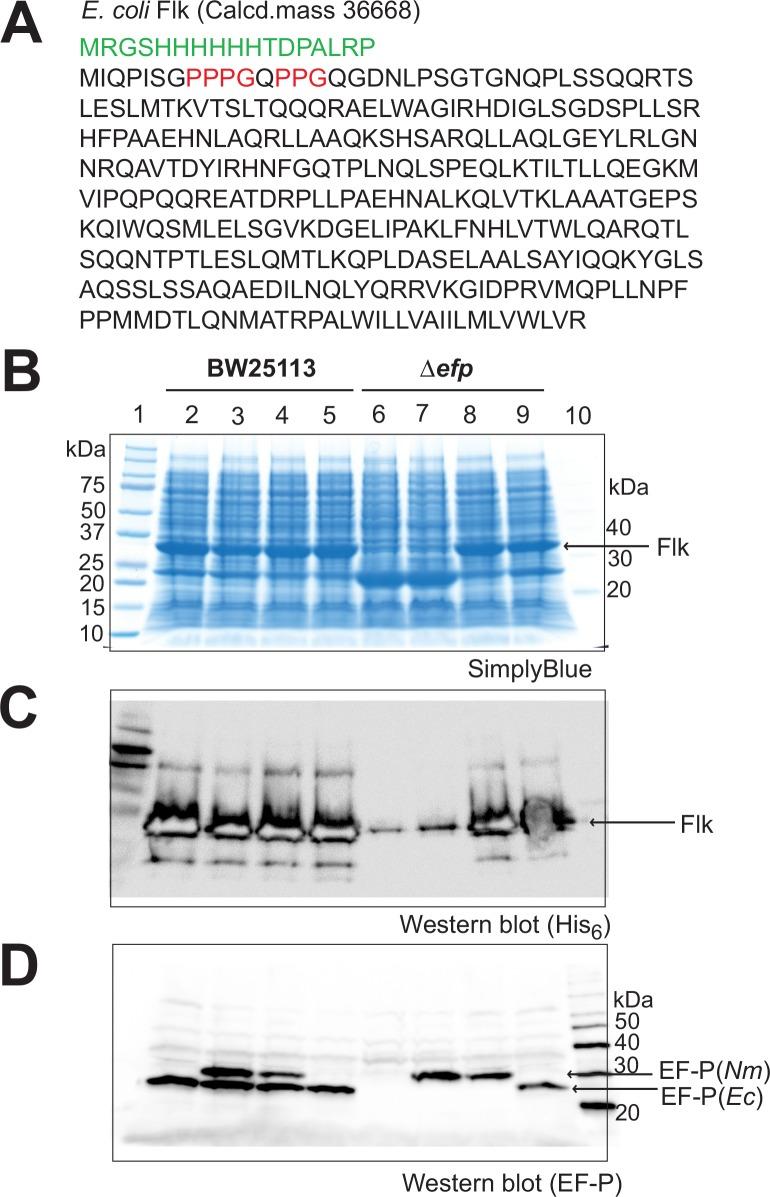 https://cdn.ncbi.nlm.nih.gov/pmc/blobs/f087/4739656/d695535348bb/pone.0147907.g006.jpg