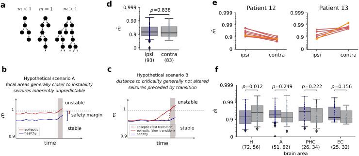 https://cdn.ncbi.nlm.nih.gov/pmc/blobs/f087/7971851/9ad50c4945d3/pcbi.1008773.g001.jpg