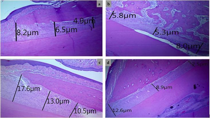 https://cdn.ncbi.nlm.nih.gov/pmc/blobs/f088/8189873/01b5bd542b19/gr4.jpg