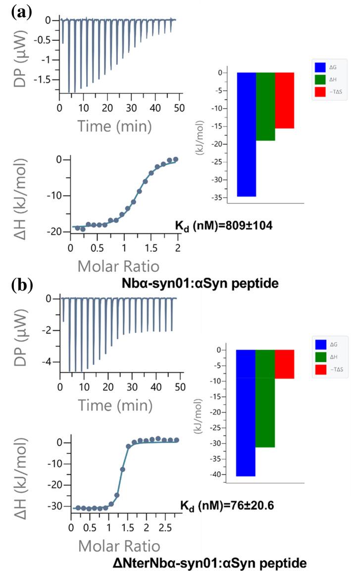 https://cdn.ncbi.nlm.nih.gov/pmc/blobs/f08a/10807187/28703a955740/PRO-33-e4875-g005.jpg