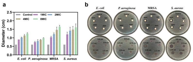 https://cdn.ncbi.nlm.nih.gov/pmc/blobs/f08b/12028358/2ae26a5c5e28/materials-18-01889-g004.jpg