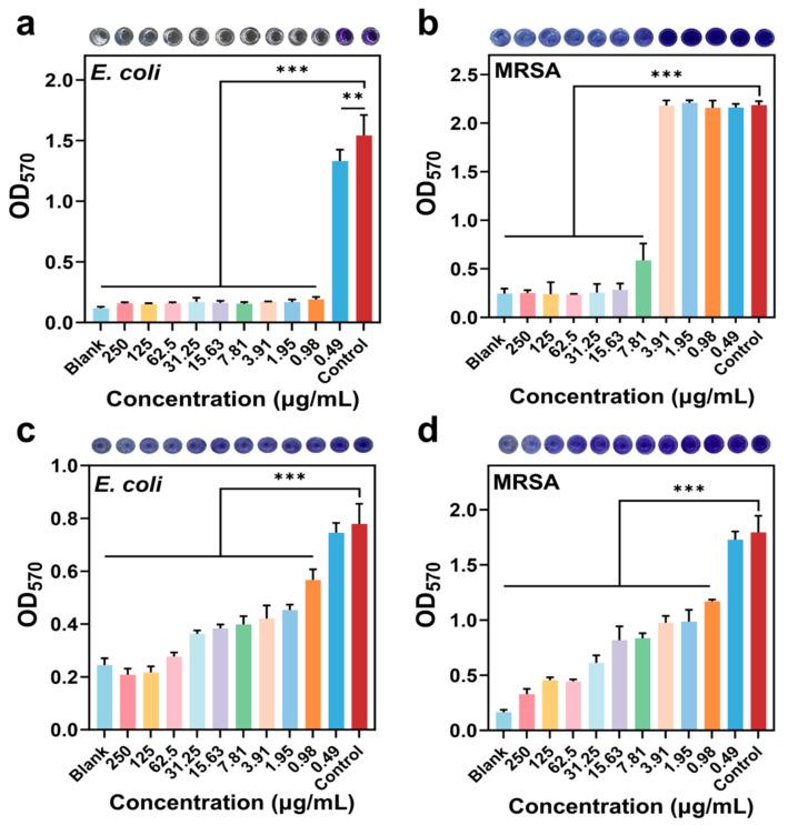https://cdn.ncbi.nlm.nih.gov/pmc/blobs/f08b/12028358/716c3bbfddad/materials-18-01889-g008.jpg
