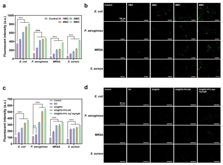 https://cdn.ncbi.nlm.nih.gov/pmc/blobs/f08b/12028358/7250a97dacd4/materials-18-01889-g011.jpg