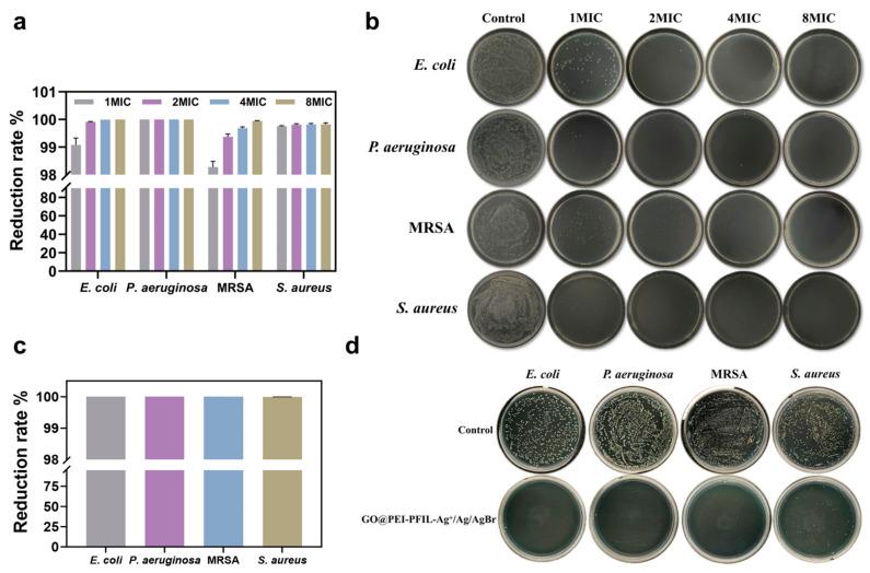 https://cdn.ncbi.nlm.nih.gov/pmc/blobs/f08b/12028358/e4d98cae507a/materials-18-01889-g005.jpg
