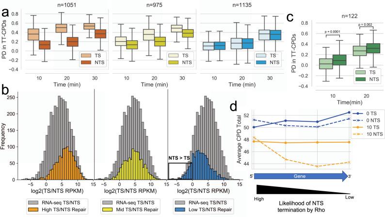 https://cdn.ncbi.nlm.nih.gov/pmc/blobs/f08d/8967931/5d477ac7686b/41467_2022_28871_Fig2_HTML.jpg
