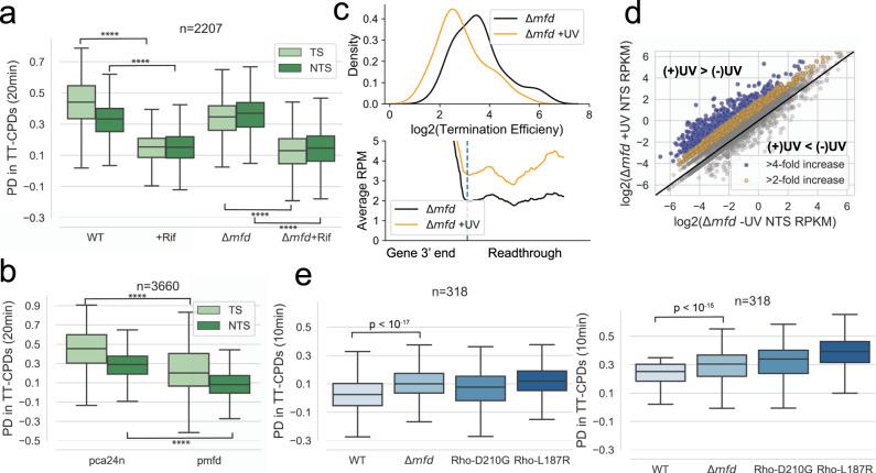 https://cdn.ncbi.nlm.nih.gov/pmc/blobs/f08d/8967931/7577eabfe5b8/41467_2022_28871_Fig5_HTML.jpg