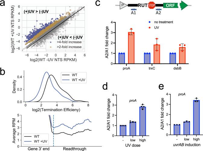 https://cdn.ncbi.nlm.nih.gov/pmc/blobs/f08d/8967931/b261e7335106/41467_2022_28871_Fig4_HTML.jpg