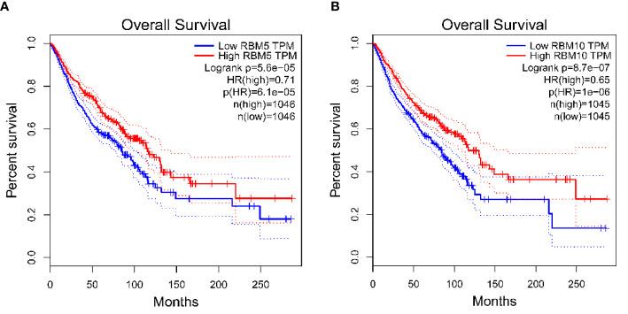 https://cdn.ncbi.nlm.nih.gov/pmc/blobs/f090/7943715/7cf0828d30ff/fonc-11-603932-g003.jpg