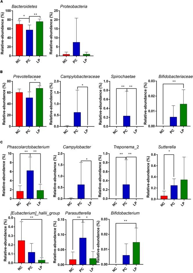 https://cdn.ncbi.nlm.nih.gov/pmc/blobs/f092/6371750/8cc8f21ee501/fmicb-10-00090-g002.jpg