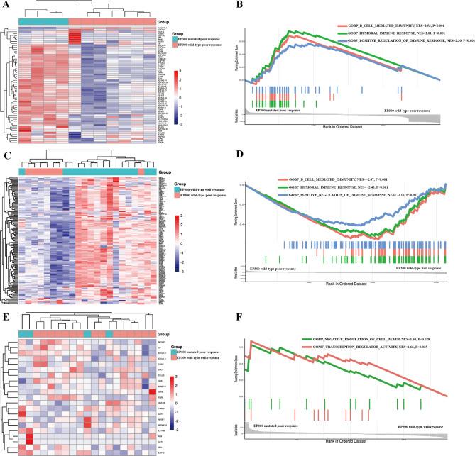 https://cdn.ncbi.nlm.nih.gov/pmc/blobs/f094/11694467/ec8367ae0c1e/12957_2024_3642_Fig3_HTML.jpg