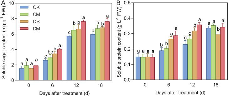 https://cdn.ncbi.nlm.nih.gov/pmc/blobs/f095/12264641/764dab0ff0b4/fpls-16-1625757-g008.jpg