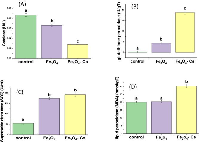 https://cdn.ncbi.nlm.nih.gov/pmc/blobs/f096/11344728/4edec8c0b719/12013_2024_1256_Fig13_HTML.jpg