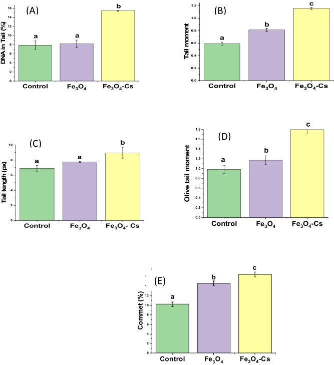 https://cdn.ncbi.nlm.nih.gov/pmc/blobs/f096/11344728/9e31845066f7/12013_2024_1256_Fig12_HTML.jpg