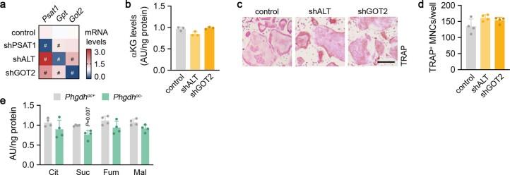 https://cdn.ncbi.nlm.nih.gov/pmc/blobs/f098/10822776/5521926ba9cf/42255_2023_948_Fig13_ESM.jpg