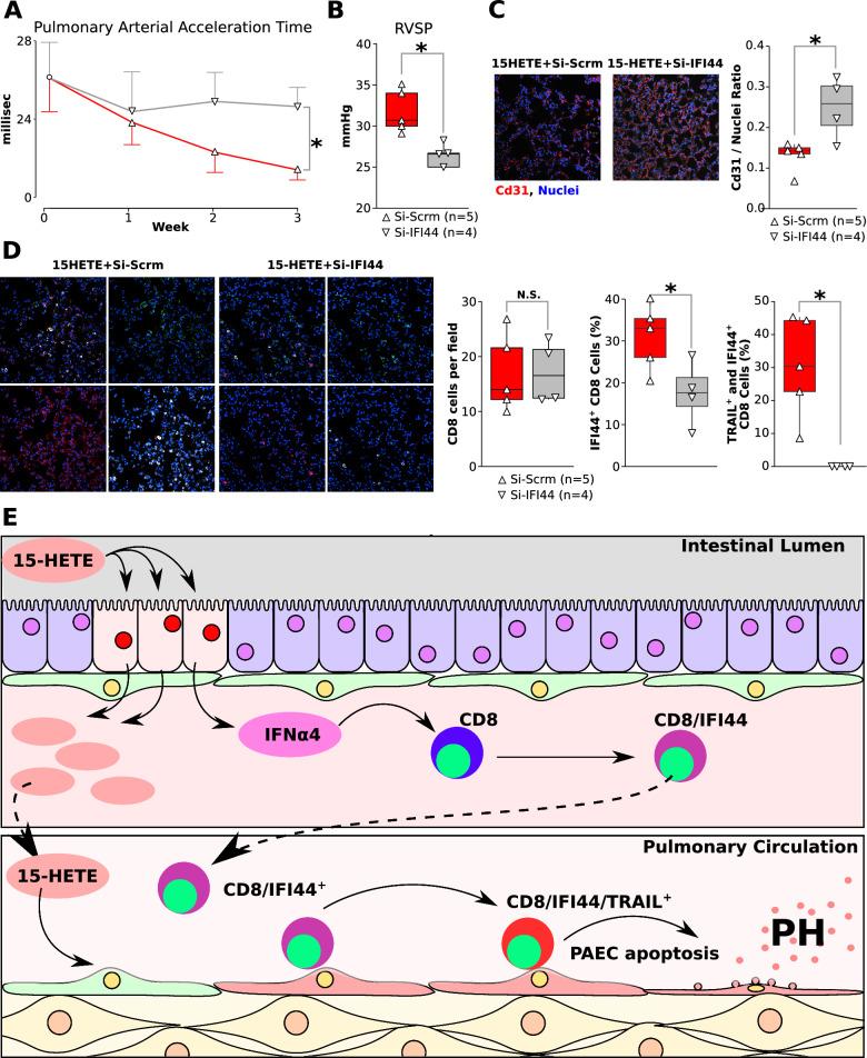 https://cdn.ncbi.nlm.nih.gov/pmc/blobs/f098/11606228/425369f408ec/12931_2024_3046_Fig7_HTML.jpg
