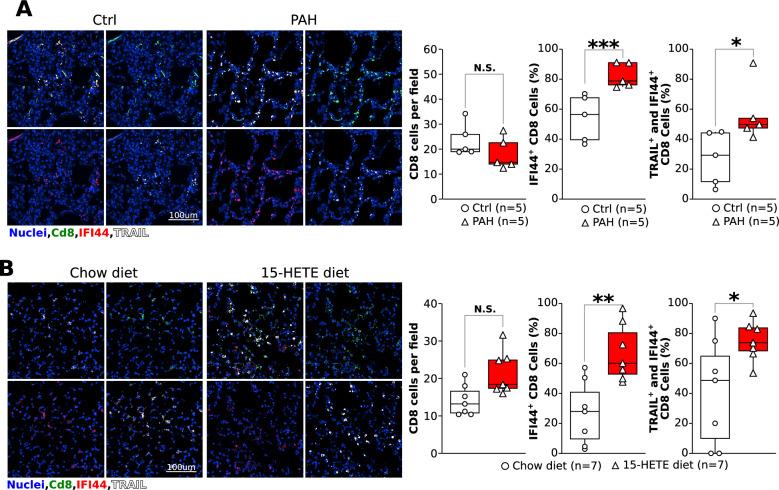 https://cdn.ncbi.nlm.nih.gov/pmc/blobs/f098/11606228/68388d058fb6/12931_2024_3046_Fig4_HTML.jpg