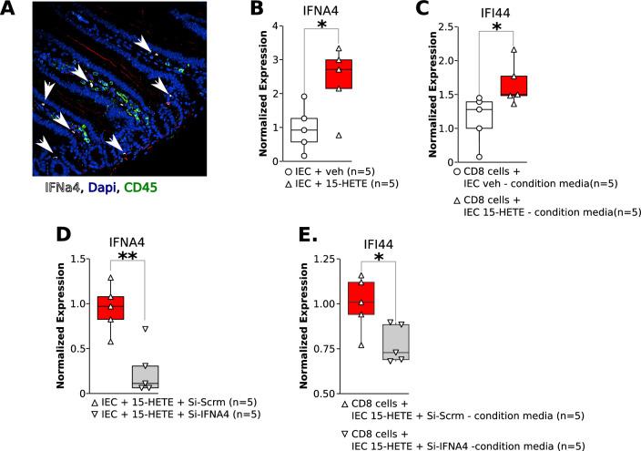 https://cdn.ncbi.nlm.nih.gov/pmc/blobs/f098/11606228/746b98cab879/12931_2024_3046_Fig5_HTML.jpg