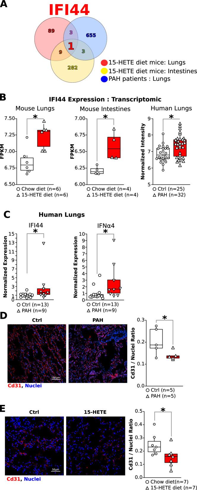 https://cdn.ncbi.nlm.nih.gov/pmc/blobs/f098/11606228/7e7ab1a6c441/12931_2024_3046_Fig1_HTML.jpg