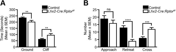 https://cdn.ncbi.nlm.nih.gov/pmc/blobs/f098/6737973/fd62f6311037/biolopen-8-044370-g7.jpg