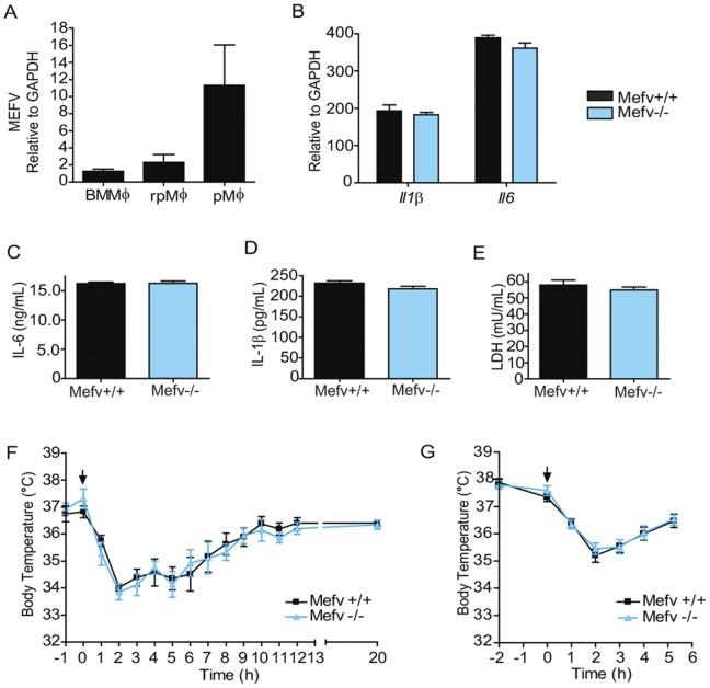 https://cdn.ncbi.nlm.nih.gov/pmc/blobs/f099/3511413/d6bd7eb4bdef/pone.0051105.g002.jpg