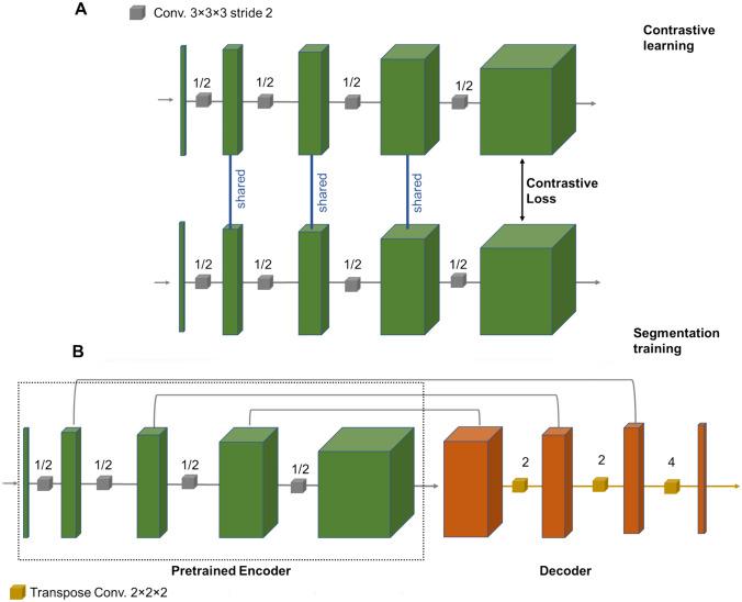 https://cdn.ncbi.nlm.nih.gov/pmc/blobs/f09a/11612072/0edf02723e6c/10278_2024_1159_Fig1_HTML.jpg