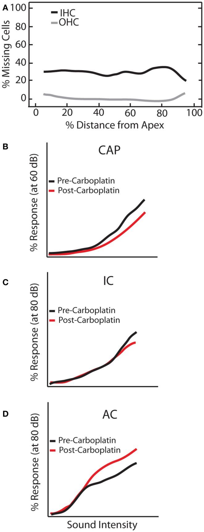 https://cdn.ncbi.nlm.nih.gov/pmc/blobs/f09a/4208401/380493836b07/fneur-05-00206-g006.jpg