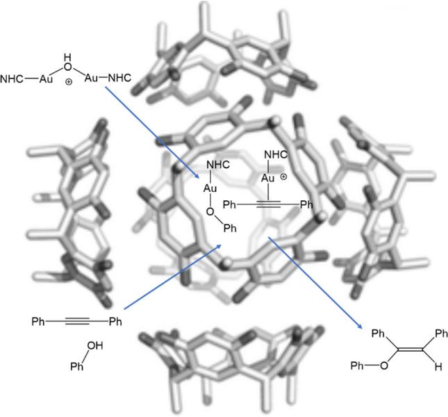 https://cdn.ncbi.nlm.nih.gov/pmc/blobs/f09b/11442519/7f3143a93215/894_2024_6152_Fig14_HTML.jpg