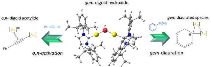 https://cdn.ncbi.nlm.nih.gov/pmc/blobs/f09b/11442519/e4ed397b348c/894_2024_6152_Fig4_HTML.jpg