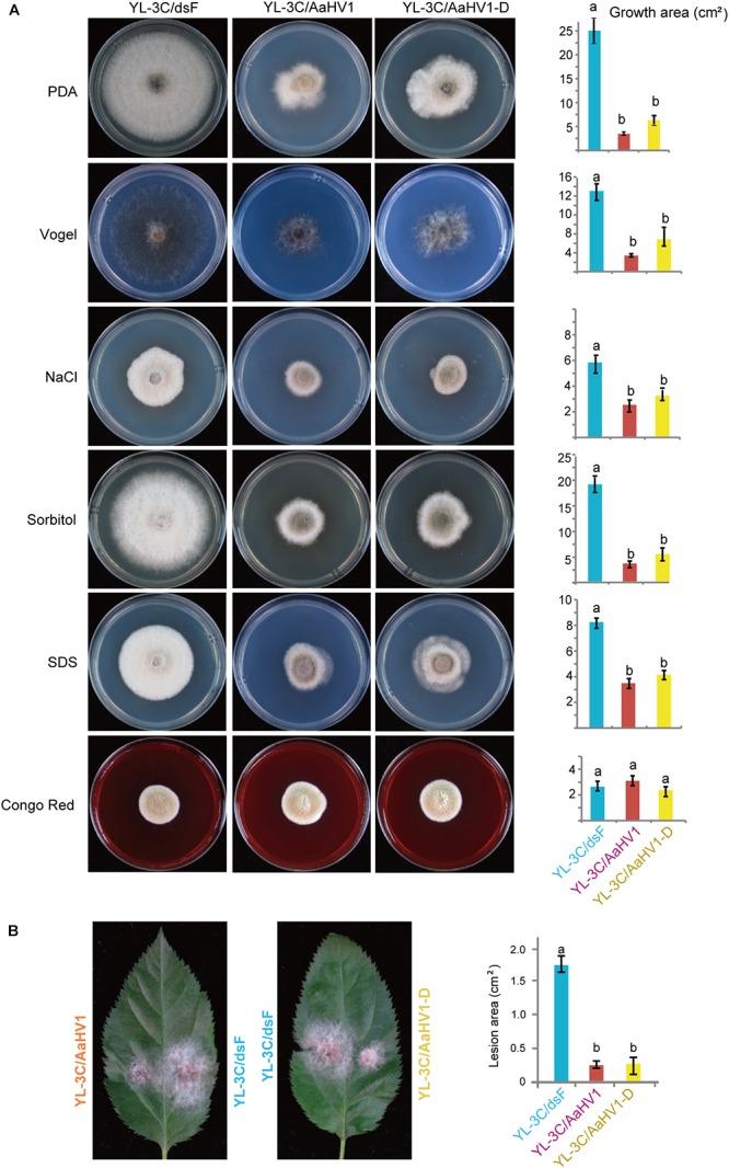 https://cdn.ncbi.nlm.nih.gov/pmc/blobs/f09b/6530530/c431f60e5b7e/fmicb-10-01076-g005.jpg