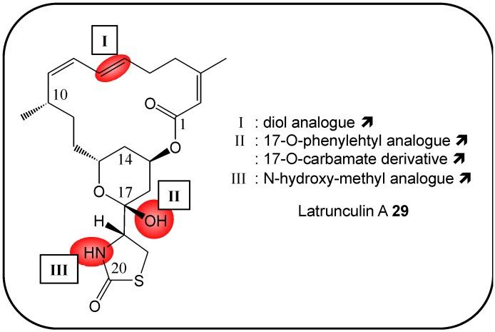 https://cdn.ncbi.nlm.nih.gov/pmc/blobs/f09c/6264395/e4ae314660ed/molecules-16-05629-g009.jpg