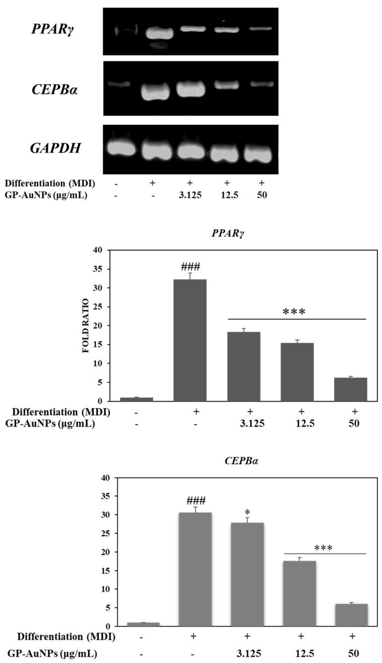 https://cdn.ncbi.nlm.nih.gov/pmc/blobs/f09c/9104634/e5096a6b2b4f/molecules-27-02795-g012.jpg