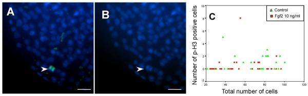 https://cdn.ncbi.nlm.nih.gov/pmc/blobs/f09d/2639535/2b4008191fb0/1743-8454-5-20-2.jpg