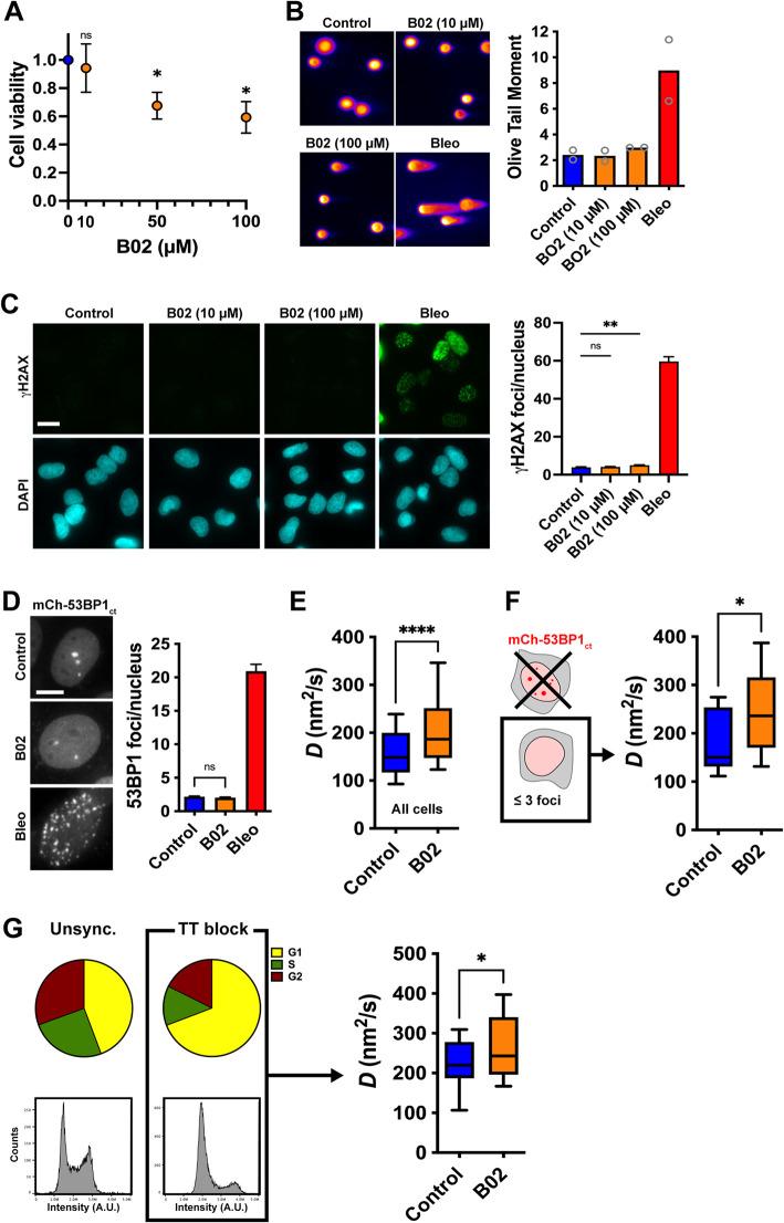 https://cdn.ncbi.nlm.nih.gov/pmc/blobs/f09e/11617103/5d7f09714c92/mbc-35-ar136-g002.jpg