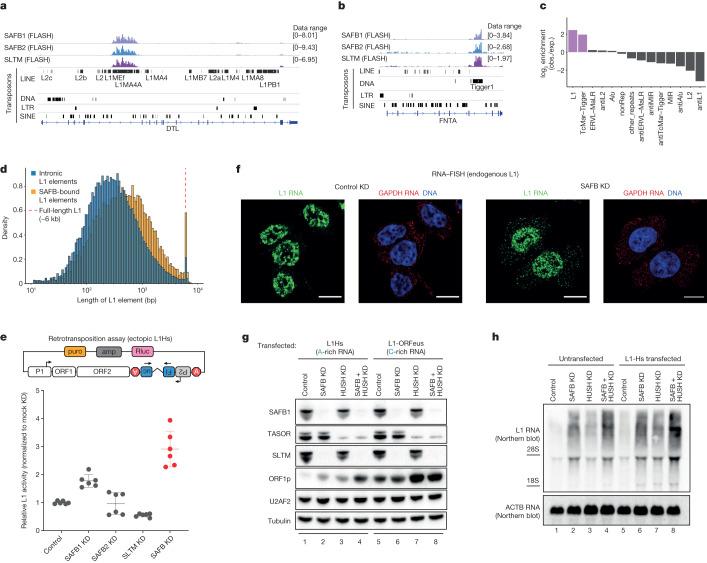 https://cdn.ncbi.nlm.nih.gov/pmc/blobs/f09f/10901741/67430d2efa72/41586_2024_7081_Fig2_HTML.jpg