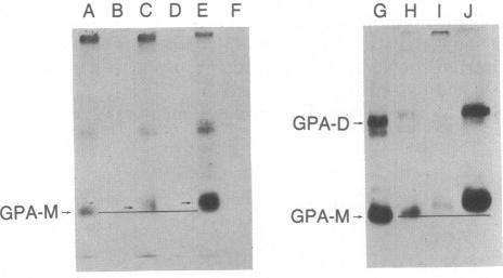 https://cdn.ncbi.nlm.nih.gov/pmc/blobs/f09f/392009/557573b1b2be/pnas00622-0196-a.jpg