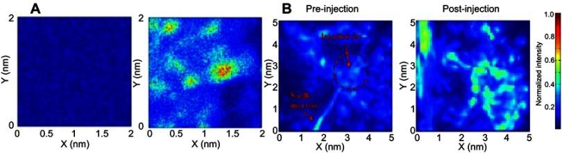 https://cdn.ncbi.nlm.nih.gov/pmc/blobs/f09f/6691944/6495b7c10a61/IJN-14-6387-g0011.jpg
