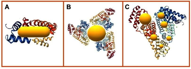 https://cdn.ncbi.nlm.nih.gov/pmc/blobs/f09f/6691944/b14b096de12a/IJN-14-6387-g0008.jpg