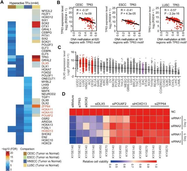 https://cdn.ncbi.nlm.nih.gov/pmc/blobs/f09f/8450110/5a7b4a062678/gkab679fig1.jpg
