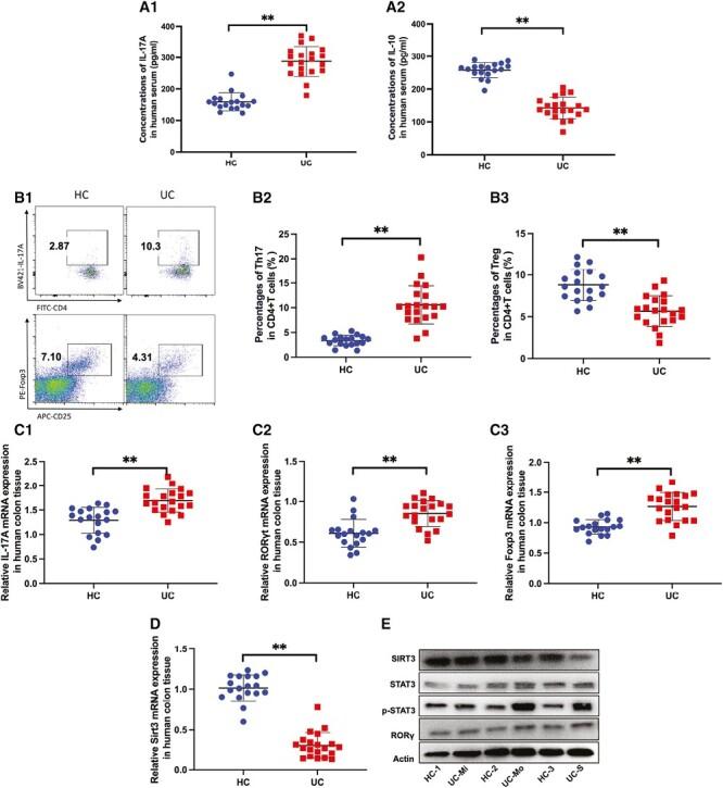 https://cdn.ncbi.nlm.nih.gov/pmc/blobs/f0a1/10697418/5a6396d86a29/izad099_fig1.jpg