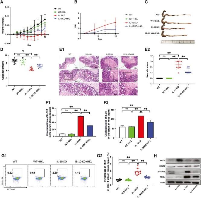 https://cdn.ncbi.nlm.nih.gov/pmc/blobs/f0a1/10697418/b5af8e68f31a/izad099_fig5.jpg