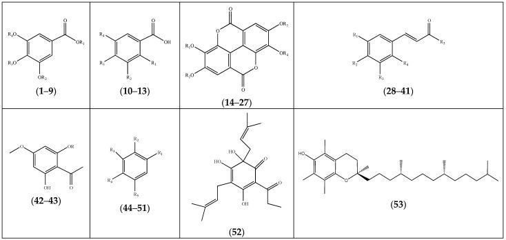 https://cdn.ncbi.nlm.nih.gov/pmc/blobs/f0a1/10933895/ddd5686cbc38/molecules-29-00980-g003.jpg