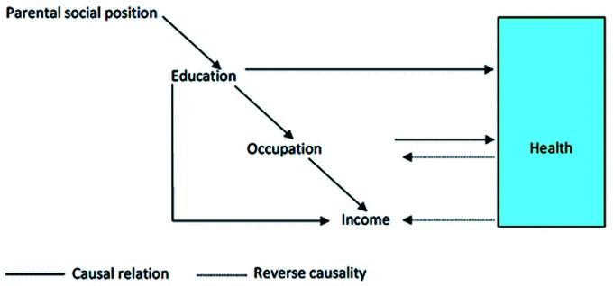 https://cdn.ncbi.nlm.nih.gov/pmc/blobs/f0a1/8165532/b6c242de2471/10.1177_23312165211002963-fig2.jpg