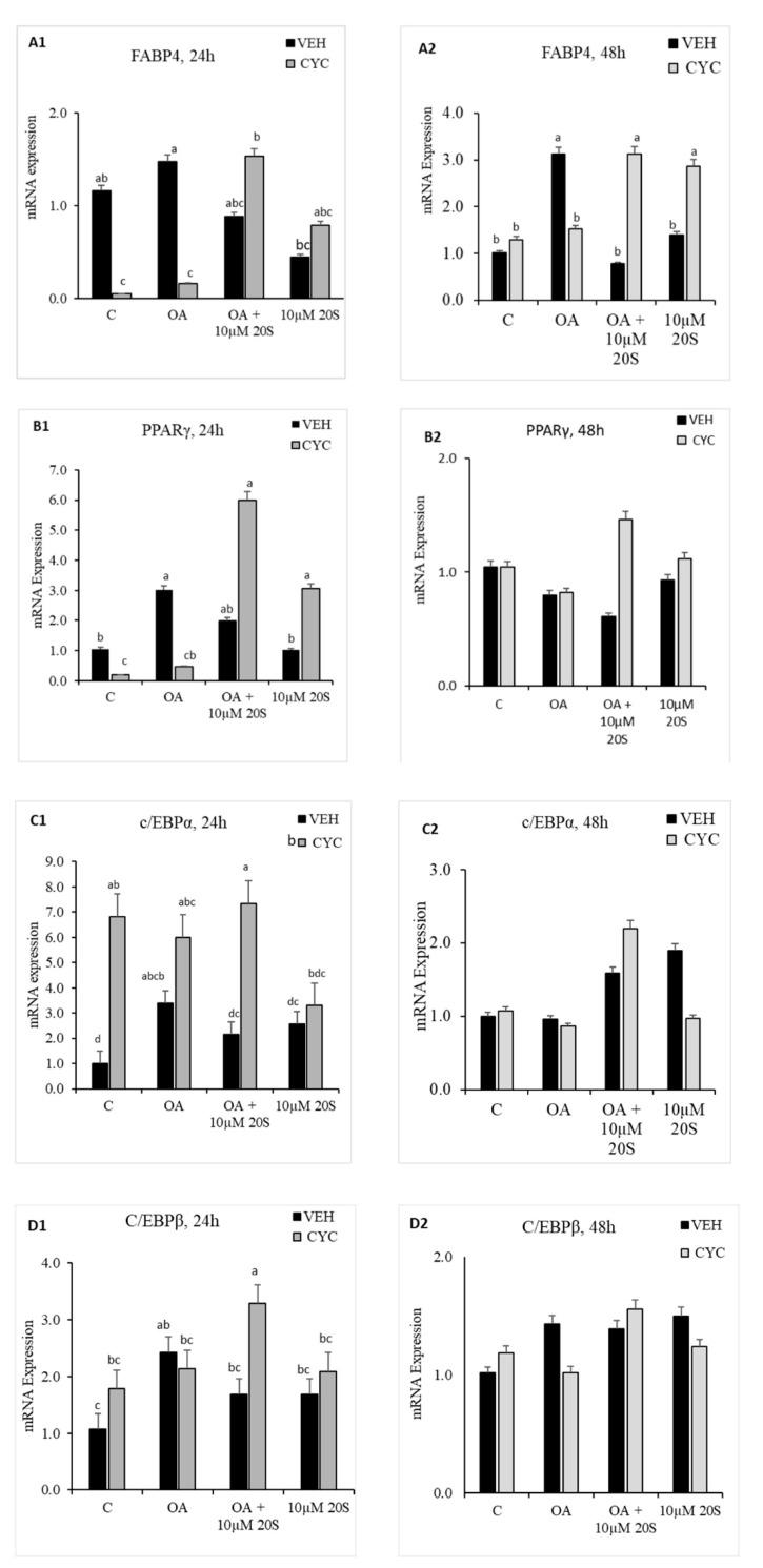 https://cdn.ncbi.nlm.nih.gov/pmc/blobs/f0a5/7698591/1189198c87de/genes-11-01360-g007a.jpg