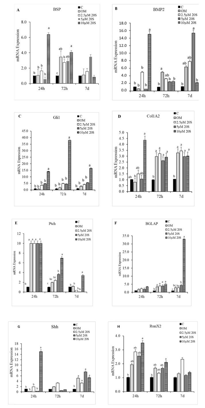 https://cdn.ncbi.nlm.nih.gov/pmc/blobs/f0a5/7698591/621ad2c93e34/genes-11-01360-g003.jpg
