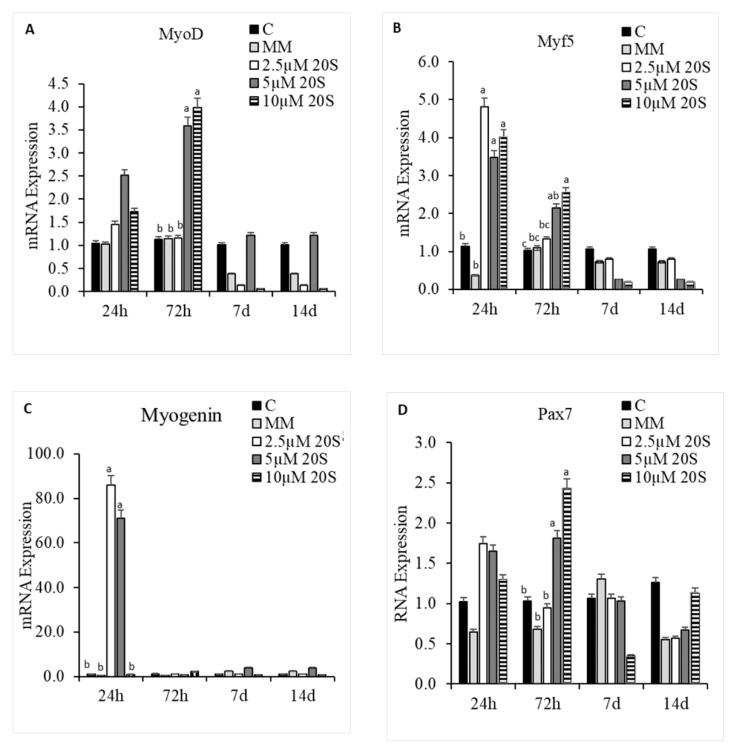 https://cdn.ncbi.nlm.nih.gov/pmc/blobs/f0a5/7698591/cc8f2e13e2a8/genes-11-01360-g008.jpg