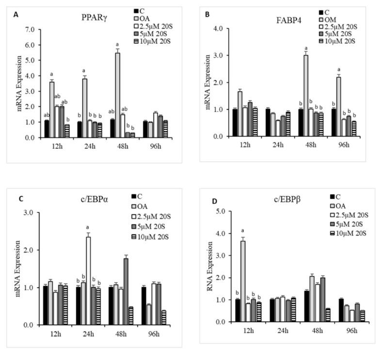 https://cdn.ncbi.nlm.nih.gov/pmc/blobs/f0a5/7698591/d4124e83aa25/genes-11-01360-g006a.jpg