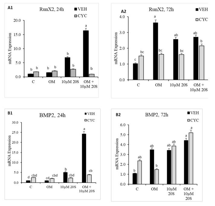 https://cdn.ncbi.nlm.nih.gov/pmc/blobs/f0a5/7698591/f1bdbff7d263/genes-11-01360-g004a.jpg