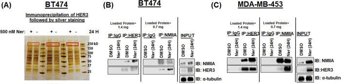 https://cdn.ncbi.nlm.nih.gov/pmc/blobs/f0a6/10194889/9fe92cd99153/pone.0285251.g001.jpg