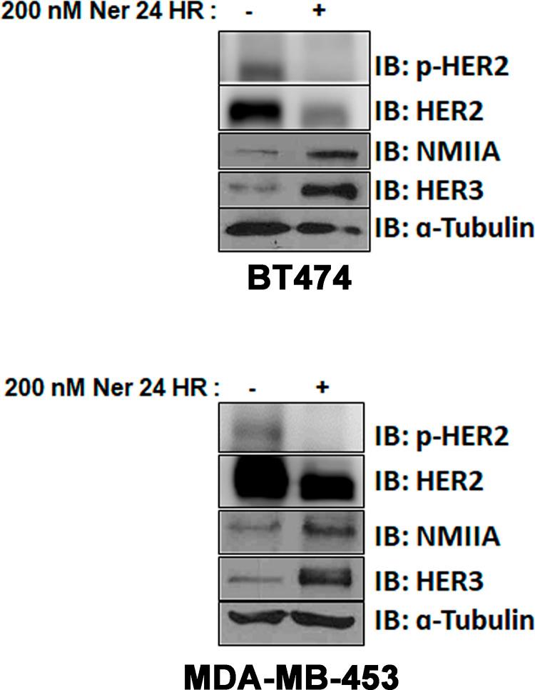 https://cdn.ncbi.nlm.nih.gov/pmc/blobs/f0a6/10194889/a513748a89a9/pone.0285251.g003.jpg