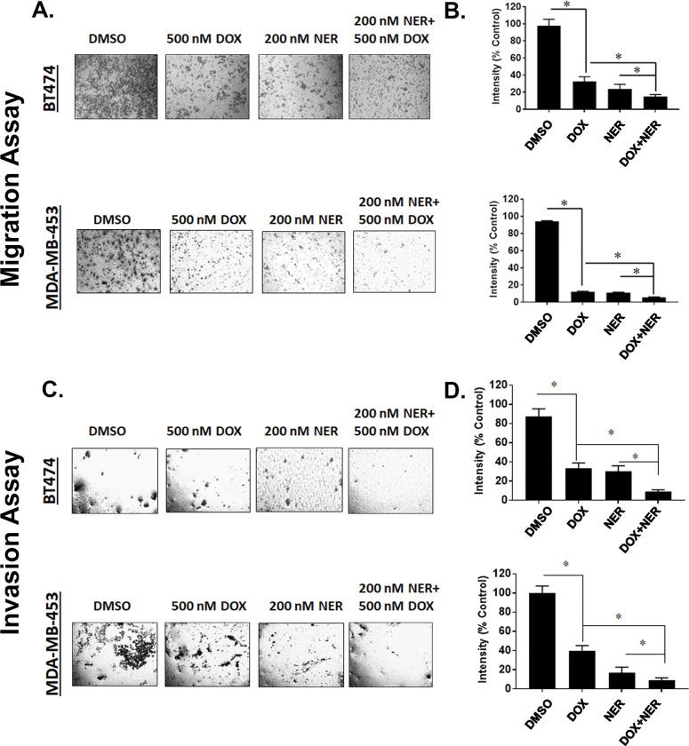 https://cdn.ncbi.nlm.nih.gov/pmc/blobs/f0a6/10194889/d0585521b673/pone.0285251.g006.jpg